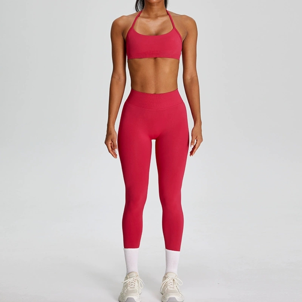 Seamless Sports Suits Women's  - Yoga Fitness Zumba recensie en prijs