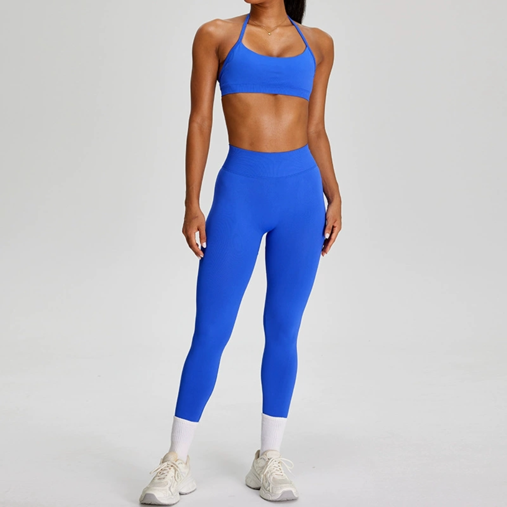 Seamless Sports Suits Women's  - Yoga Fitness Zumba recensie en prijs